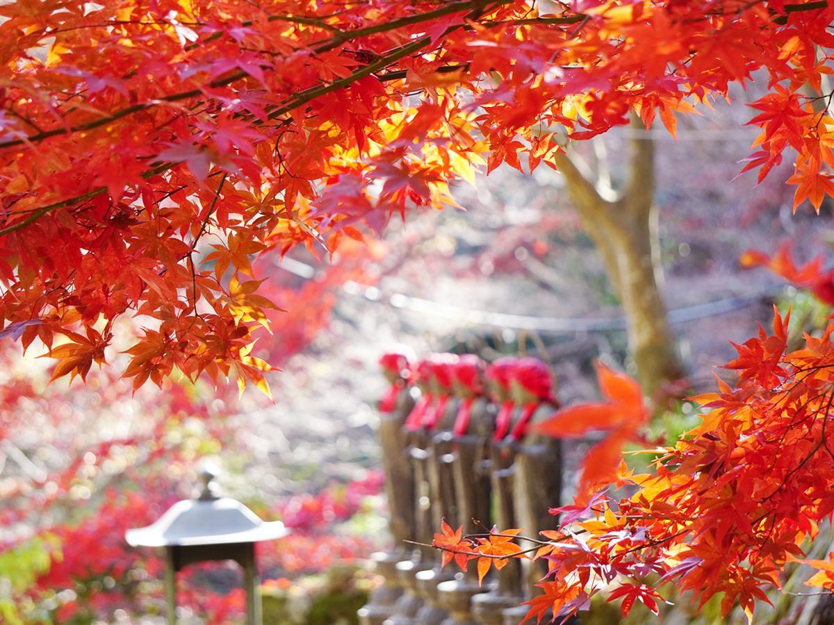 Kageyu Hotel Isehara Bagian luar foto